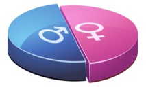La parité homme-femme entre l'institutionnel et la réalité La parité homme-femme entre l'institutionnel et la réalité