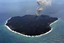 Une île volcanique au Japon révèle un laboratoire naturel du vivant Une île volcanique au Japon révèle un laboratoire naturel du vivant