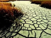 L'OMS appelle à placer la santé au cœur de la lutte contre les changements climatiques L'OMS appelle à placer la santé au cœur de la lutte contre les changements climatiques