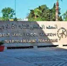 Colloque international à Rabat. "Passerelles de connaissance : interprétation de l'altérité dans la pensée et la traduction"