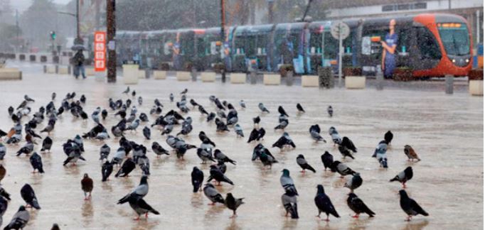 “La place des pigeons ” de Casablanca: Un héritage historique et un lieu touristique toujours très prisé