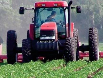 Les dernières précipitations auront un impact positif sur les cultures d’automne dans la région de Fès-Meknès