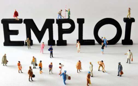 Marché du travail. 51,2% des chômeurs sont des primo-demandeurs d'emploi en 2023 Marché du travail. 51,2% des chômeurs sont des primo-demandeurs d'emploi en 2023