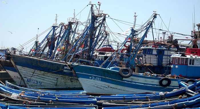 Port de Tarfaya: Hausse de 62% des débarquements de pêche