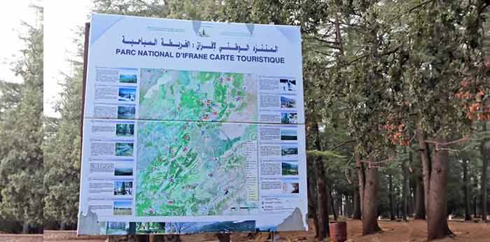 La valorisation du Parc national d'Ifrane est de nature à renforcer l'attractivité touristique de toute la région Fès-Meknès