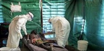 La souche du virus Ebola en Afrique de l'Ouest moins virulente que celle de 1976 La souche du virus Ebola en Afrique de l'Ouest moins virulente que celle de 1976