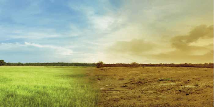 Des perspectives intéressantes permettent aux agriculteurs de minimiser les pertes et de réduire la consommation d’eau Des perspectives intéressantes permettent aux agriculteurs de minimiser les pertes et de réduire la consommation d’eau