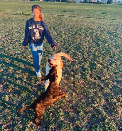 "Bon chien!": Nos plus fidèles animaux nous comprennent