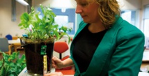 Quand les plantes d'eau produisent du courant Quand les plantes d'eau produisent du courant