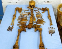 Le squelette que tout le monde s'arrache est l'ancêtre d'Indiens Le squelette que tout le monde s'arrache est l'ancêtre d'Indiens