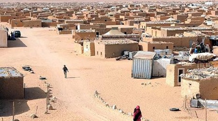 Pour l’ONG chilienne, DHSF, le polisario est un “facteur d'instabilité”