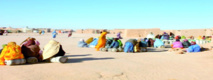 Les camps de Tindouf. Les camps de Tindouf.
