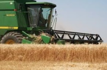 Hausse de la production agricole et baisse des prix Hausse de la production agricole et baisse des prix