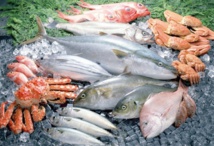 Hausse des produits commercialisés de la pêche côtière et artisanale Hausse des produits commercialisés de la pêche côtière et artisanale