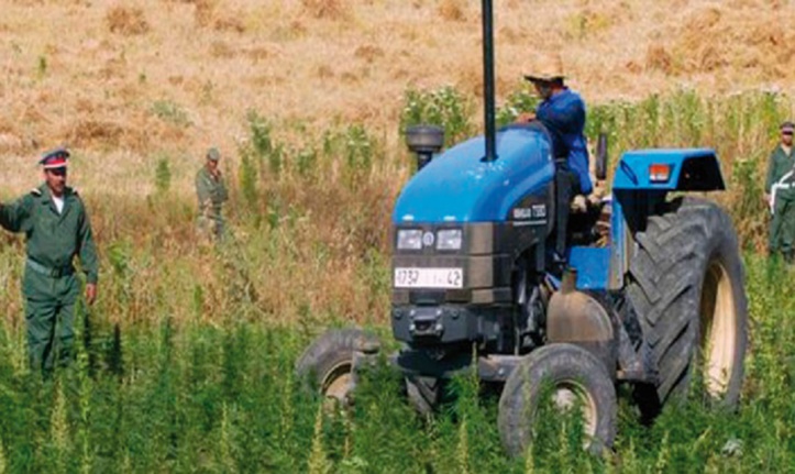 Assertions stupéfiantes du chef du gouvernement Assertions stupéfiantes du chef du gouvernement