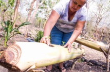 Les femmes plus exposées que les hommes aux effets du changement climatique Les femmes plus exposées que les hommes aux effets du changement climatique