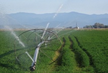 Pour l’amélioration des services d'irrigation au profit des agriculteurs marocains
