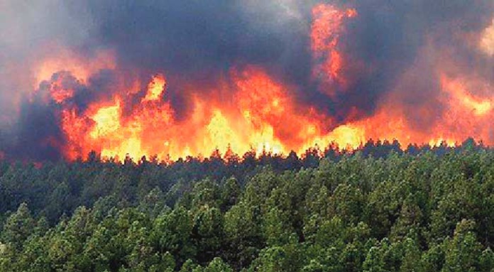 L’Agence nationale des eaux et forêts tenue de faire avec L’Agence nationale des eaux et forêts tenue de faire avec