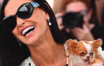 Demi Moore à contre-emploi dans un film d'horreur féministe Demi Moore à contre-emploi dans un film d'horreur féministe