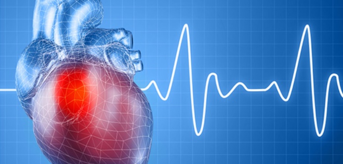 Laâyoune: Atelier sur la rythmologie cardiaque au profit d’une trentaine de médecins
