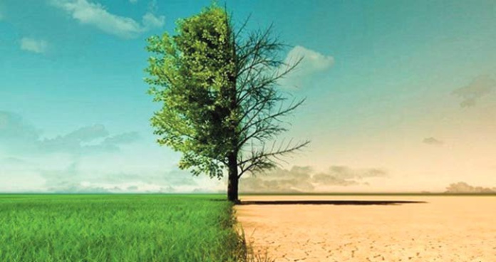 Le Maroc, un leader mondial dans la lutte contre le changement climatique Le Maroc, un leader mondial dans la lutte contre le changement climatique