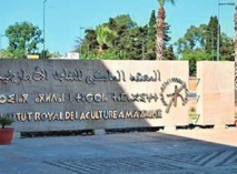 L'IRCAM célèbre la Journée mondiale de la diversité culturelle pour le dialogue et le développement L'IRCAM célèbre la Journée mondiale de la diversité culturelle pour le dialogue et le développement