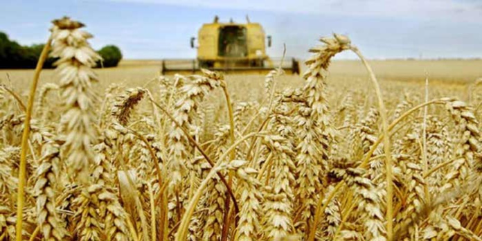 Entre Plan Maroc Vert et Génération Green. L’agriculteur voit rouge