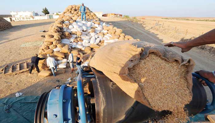 Entre Plan Maroc Vert et Génération Green. L’agriculteur voit rouge