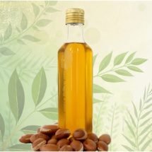 Reportage : L’arganier, or vert et source de vie Reportage : L’arganier, or vert et source de vie