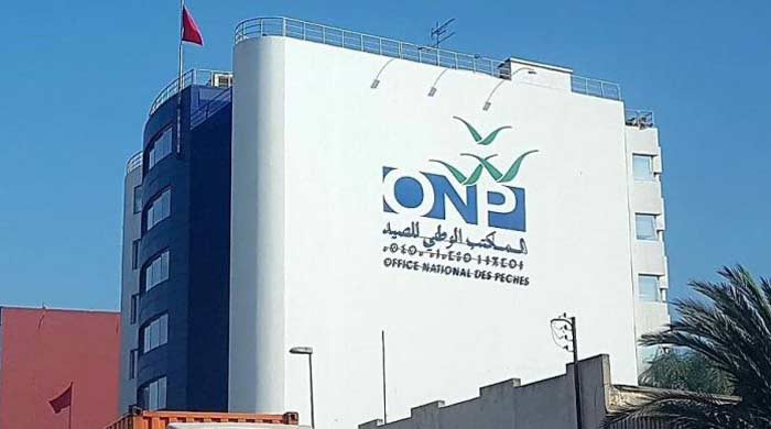 Port de Lamhiriz: Baisse de 9% des débarquements de la pêche à fin avril Port de Lamhiriz: Baisse de 9% des débarquements de la pêche à fin avril
