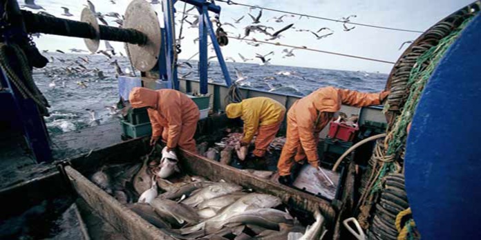 Ports situés sur la Méditerranée: Baisse de 16% des débarquements de pêche à fin mai Ports situés sur la Méditerranée: Baisse de 16% des débarquements de pêche à fin mai