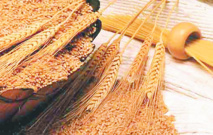 Dame nature booste l’économie nationale Dame nature booste l’économie nationale