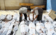 Lattaquié fief du régime syrien presqu’à la portée des insurgés Lattaquié fief du régime syrien presqu’à la portée des insurgés