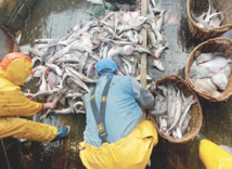 Augmentation générale des prix Augmentation générale des prix