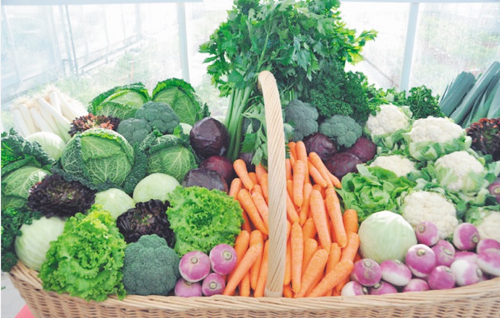 Le panier de la ménagère tombe dans la nasse du gouvernement Benkirane Le panier de la ménagère tombe dans la nasse du gouvernement Benkirane
