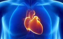 Une mutation génétique permet au cœur de s'adapter au manque d'oxygène Une mutation génétique permet au cœur de s'adapter au manque d'oxygène