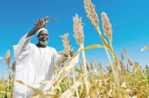 Comment aller vers une croissance inclusive et durable
