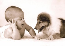 La fable du chien et du bébé