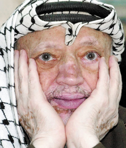 Les juges français rendent un non-lieu dans l'enquête pour "assassinat" après la mort de Yasser Arafat Les juges français rendent un non-lieu dans l'enquête pour "assassinat" après la mort de Yasser Arafat