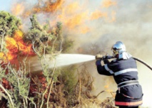 Elaborer des stratégies efficaces afin de préserver la sécurité des citoyens Elaborer des stratégies efficaces afin de préserver la sécurité des citoyens