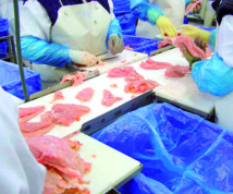 Présentation de l’esquisse de la stratégie de développement de l’agro-industrie marocaine Présentation de l’esquisse de la stratégie de développement de l’agro-industrie marocaine