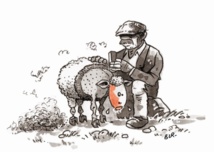 Insolite : Reprendre du poil de la bête Insolite : Reprendre du poil de la bête