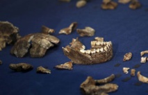 Découverte en Afrique du Sud de l’Homo naledi Découverte en Afrique du Sud de l’Homo naledi