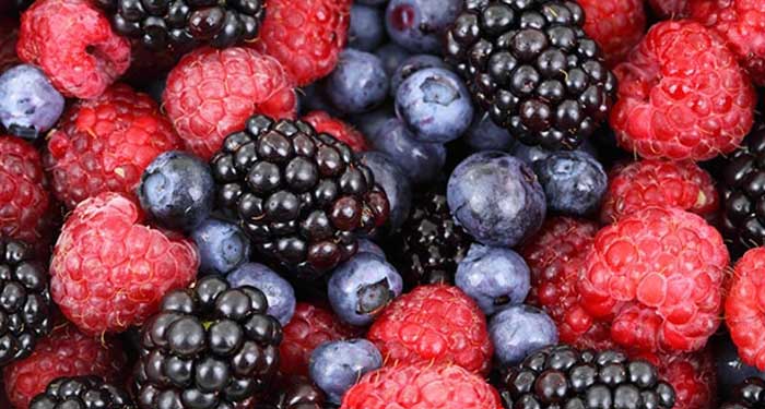 Tanger abrite la 33ème édition du séminaire international sur les fruits rouges Tanger abrite la 33ème édition du séminaire international sur les fruits rouges