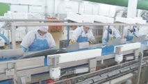 Tendance à la hausse pour l’industrie manufacturière