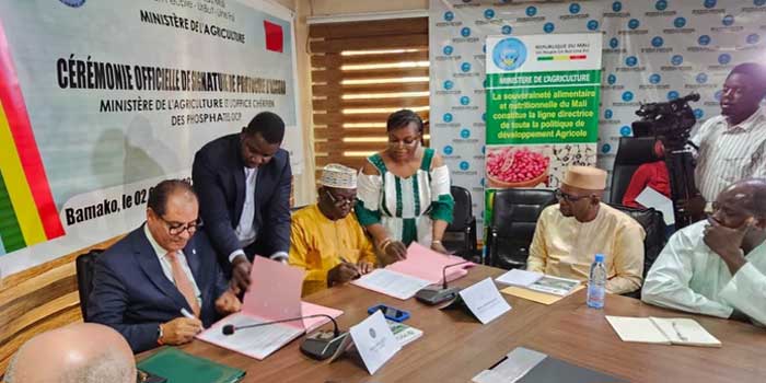 OCP Africa et le Mali s'engagent à déployer des solutions adaptées pour une agriculture durable OCP Africa et le Mali s'engagent à déployer des solutions adaptées pour une agriculture durable