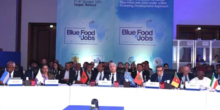 Economie bleue: Omar Hilale souligne l’importance de la coopération Sud-Sud pour la souveraineté alimentaire en Afrique Economie bleue: Omar Hilale souligne l’importance de la coopération Sud-Sud pour la souveraineté alimentaire en Afrique
