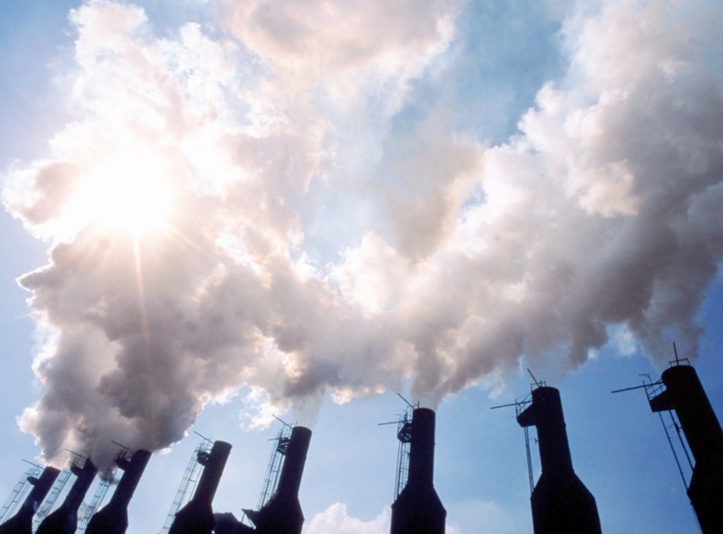 Des ONG appellent à maintenir l’harmonie entre l’humanité et la nature afin de préserver le climat Des ONG appellent à maintenir l’harmonie entre l’humanité et la nature afin de préserver le climat