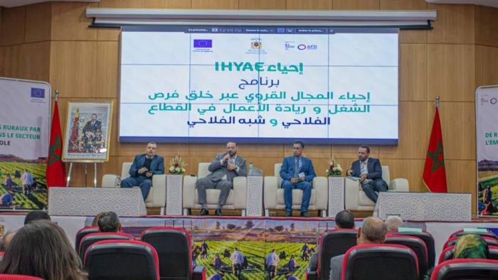 Programme IHYAE: 40 MDH pour soutenir le développement agricole durable à Fès-Meknès en 2025 Programme IHYAE: 40 MDH pour soutenir le développement agricole durable à Fès-Meknès en 2025