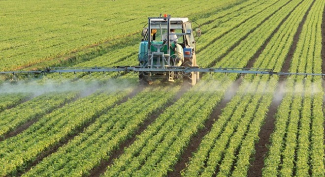 Les récentes précipitations promettent un bon démarrage de la campagne agricole Les récentes précipitations promettent un bon démarrage de la campagne agricole